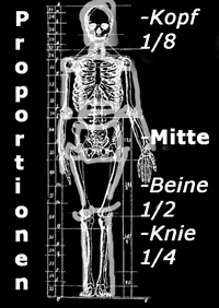 Aktzeichnung der menschlichen Proportionen