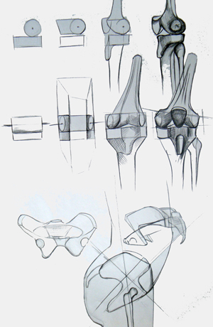 Knie und Hüftgelenk, Aktzeichnungen - Anatomie Studien, Vorlagen für die Aktmalerei