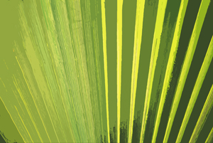 Farbskizze der Vorlage  Palmblatt, mit Anleitung